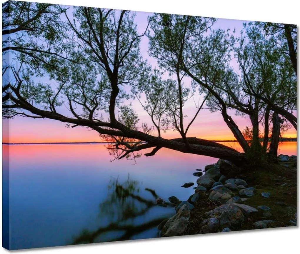 Vászonkép 40x30 Sziklák Fa Tó