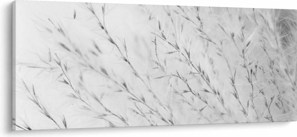 Kép - Pampafű N⁰2 (120x50 cm)