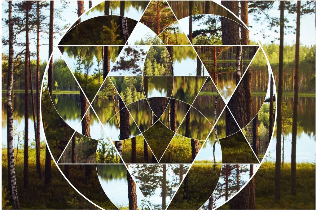 Kép - Geometrikus kollázs a skandináv erdők hátterében (90x60 cm)