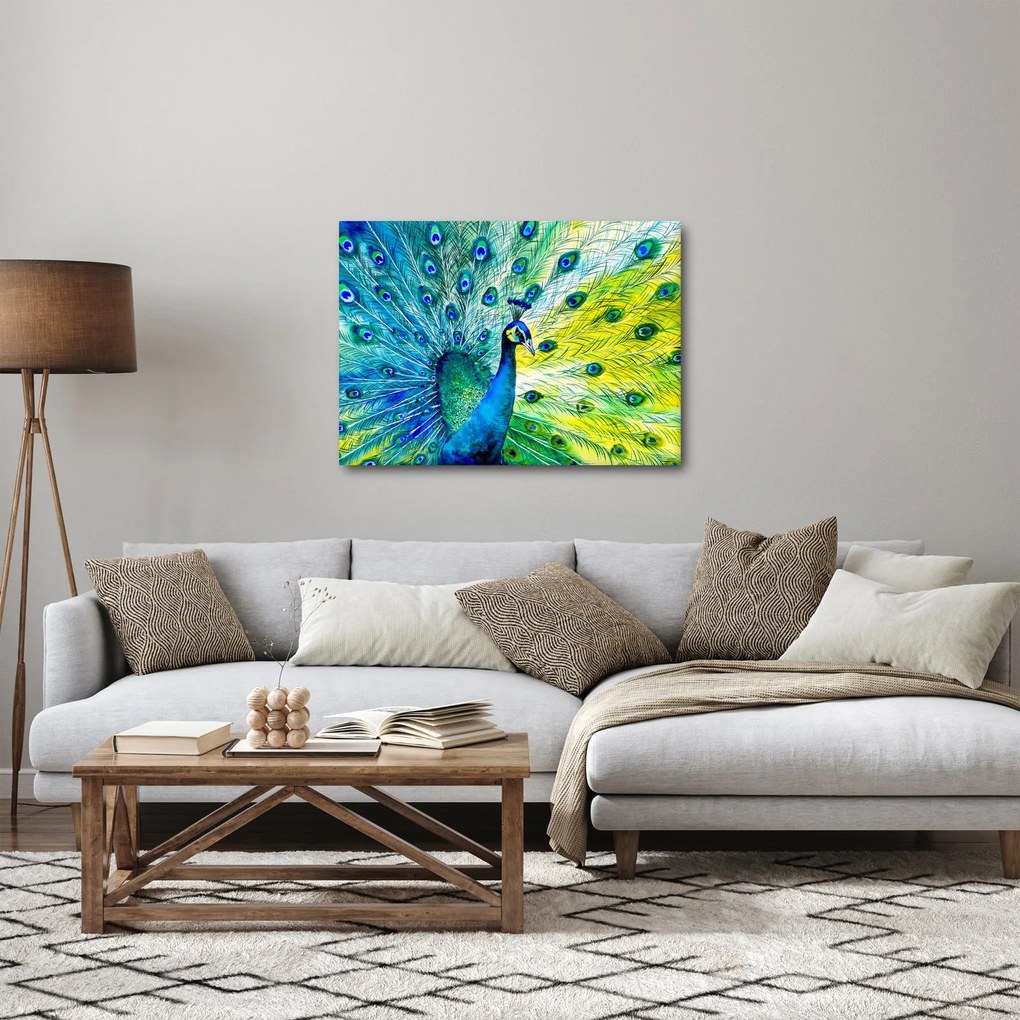 Páva képe (70x50 cm)