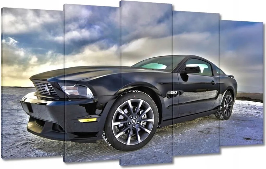 Képek 100x60 Ford Mustang télen