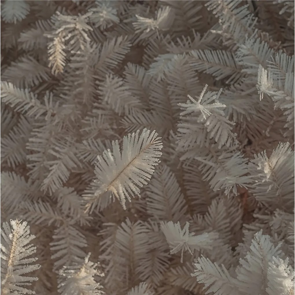 Divatos Flizelin Tapéta Fali Furnér Ágak 250x250 Ragasztó