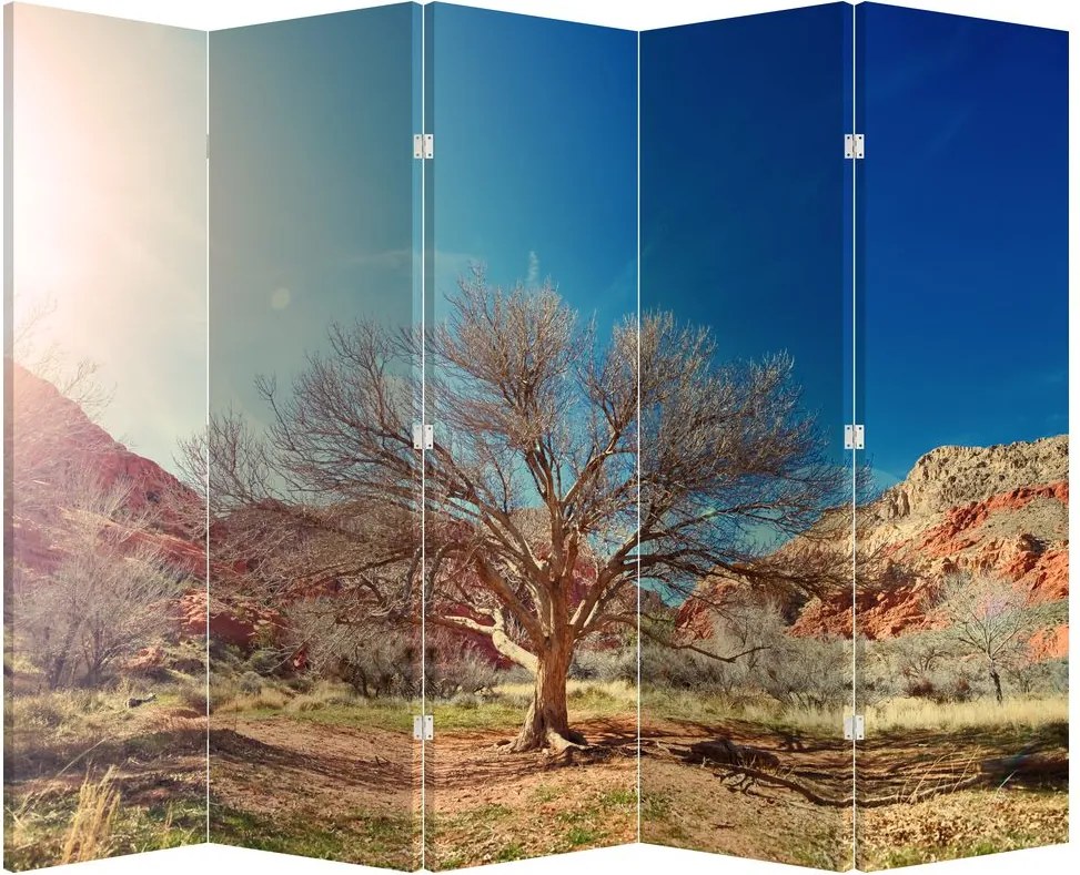 Paraván - Fa a sivatagban (210x170 cm)