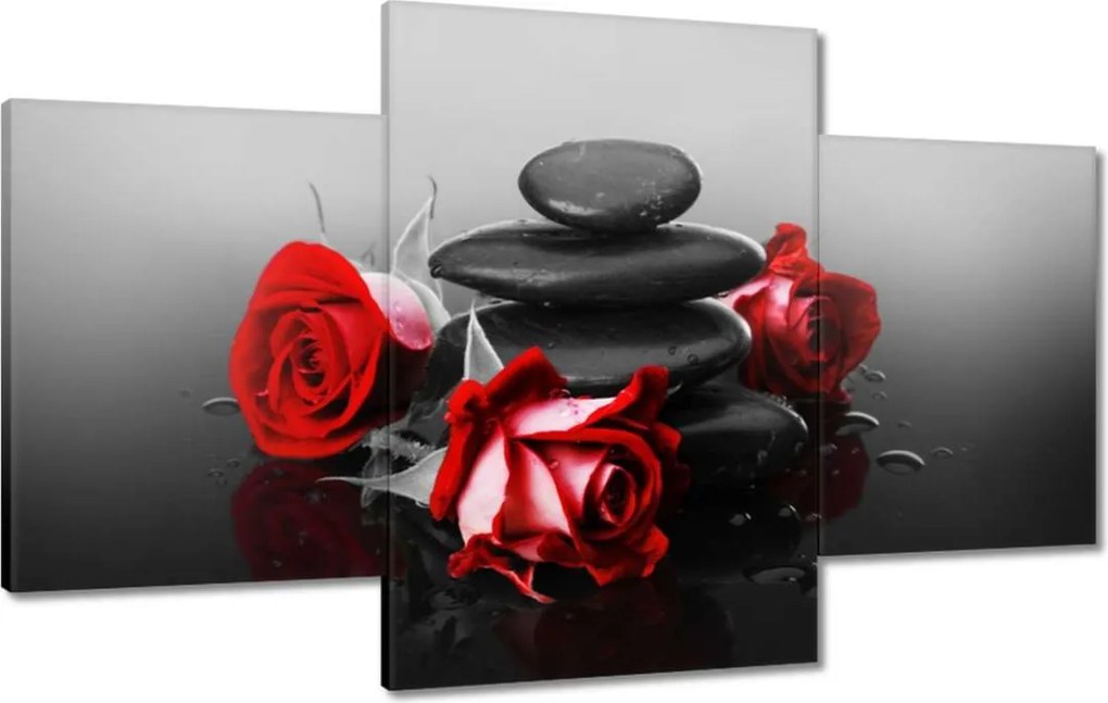 Vászonkép 100x60 Vörös rózsák Spa