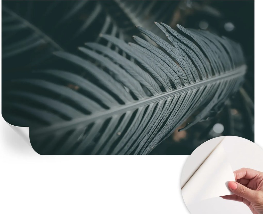 Öntapadós fotótapéta Nappaliba és Hálószobába Zöld levél 416x254