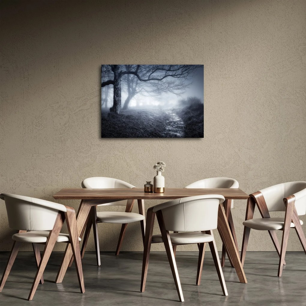 Kép - Út a ködben (70x50 cm)