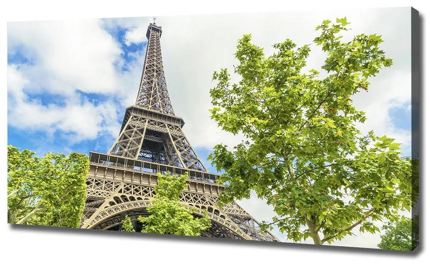 Vászonfotó Párizsi eiffel-torony pl-oc-120x60-f-57097253
