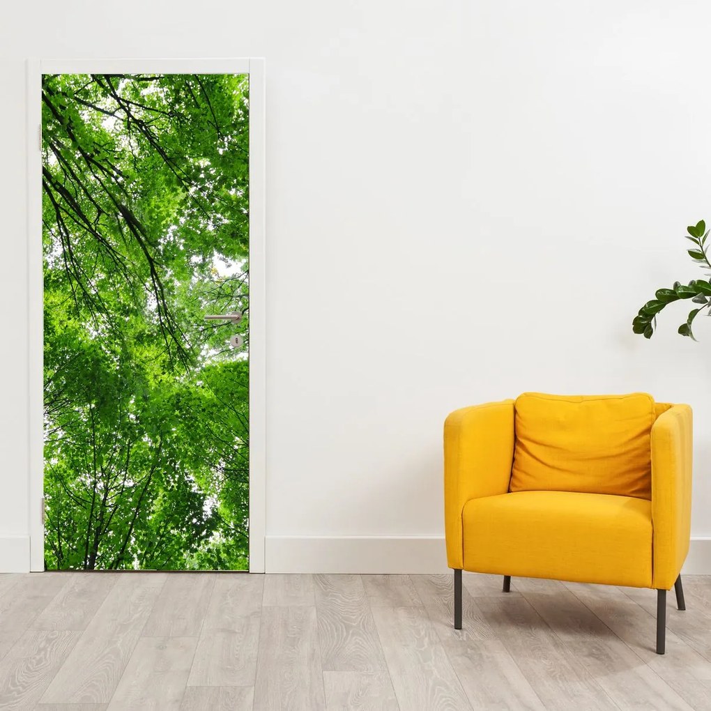 Fotótapéta ajtóra - Kilátás a fák tetejére (95x205cm)
