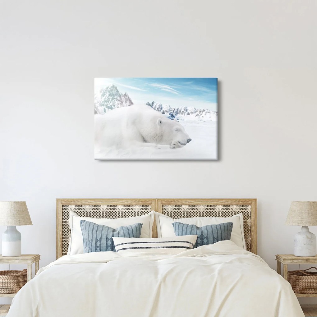 Kép - Jegesmedve (90x60 cm)