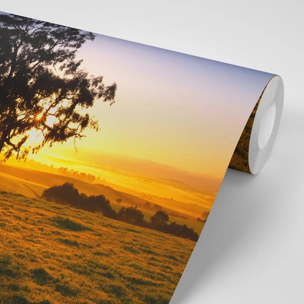 Fototapeta fa naplementekor