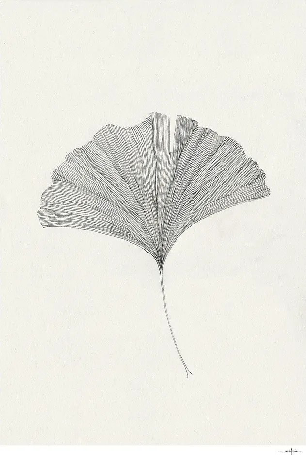 Poszter 50x70 cm Ginkgo Leaf – Ana Frois – The Poster Club