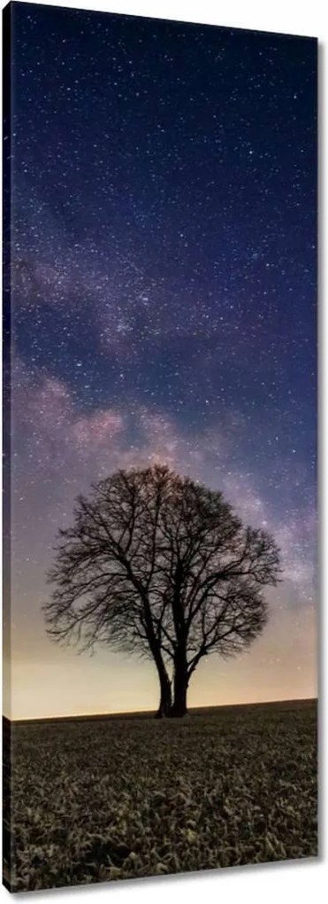 Vászonkép 40x100 Magányos fa és csillagok