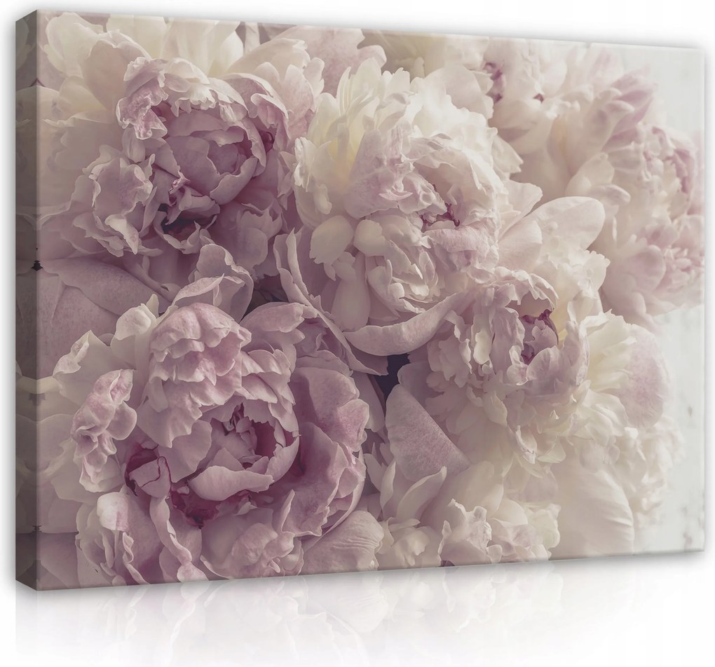 Vászonkép Falra Virágok Bazsarózsa A Nappali Hálószobájába Modern 60x40