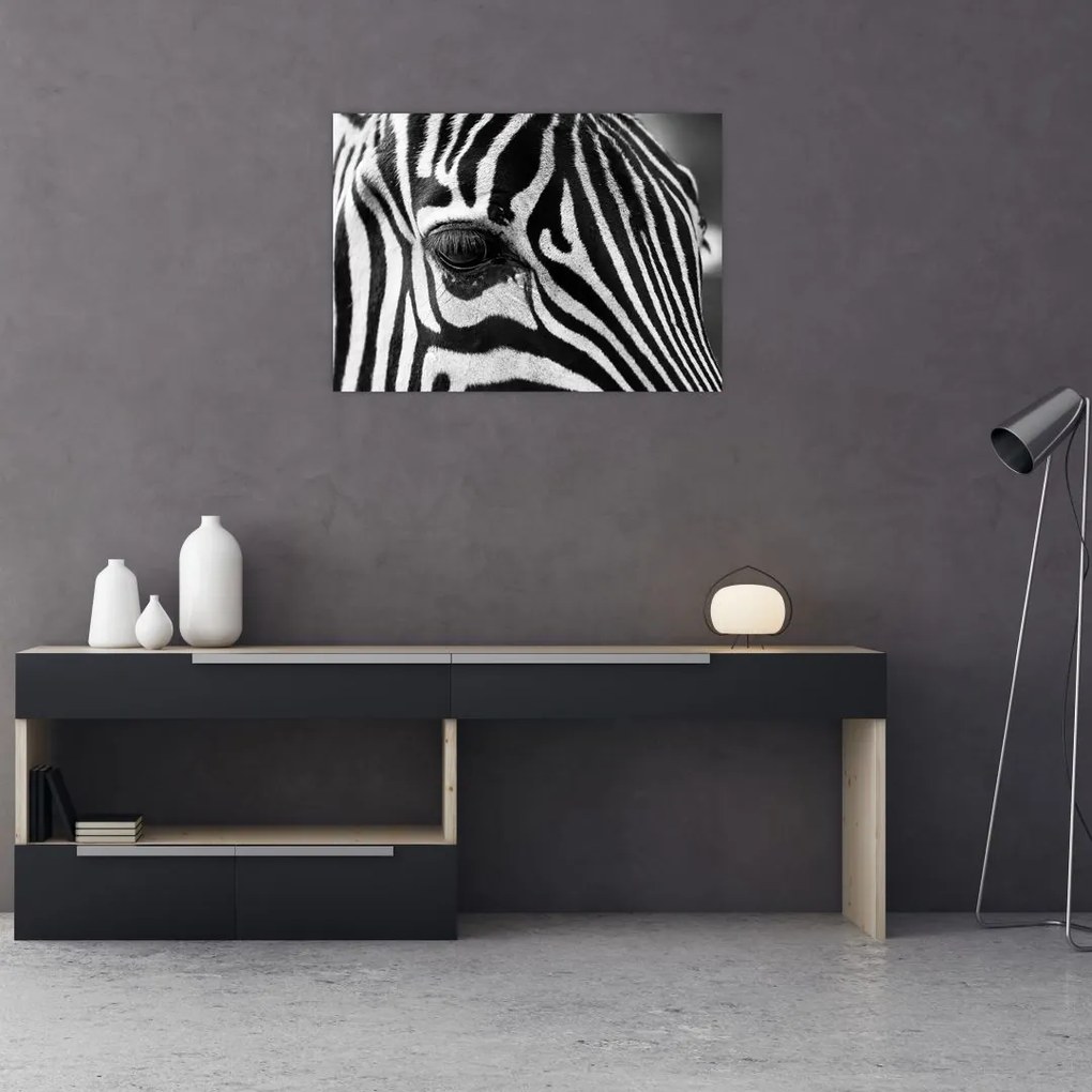 Zebra képe (70x50 cm)