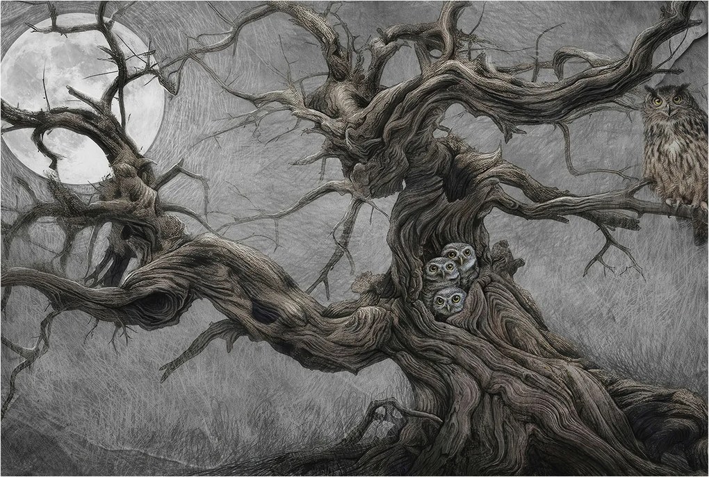 Stílusos Dekoratív Fotótapéta Flizelin Rejtélyes bagoly 104x70 Ragasztó