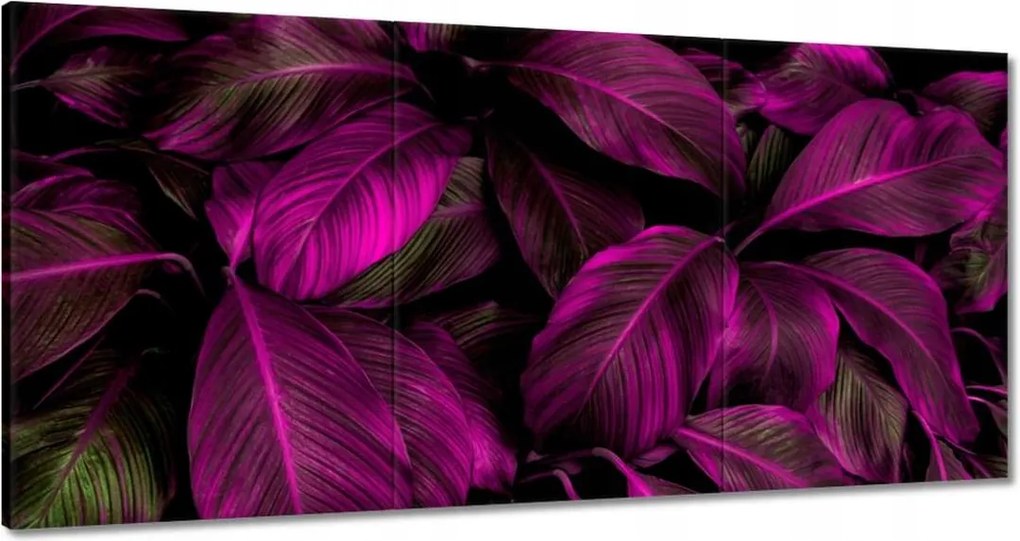 Vászonkép 60x30 Gyönyörű fukszia levelek
