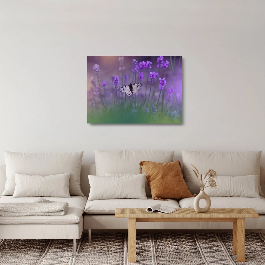 Kép - Pillangó a levendulán (üvegen) (70x50 cm)