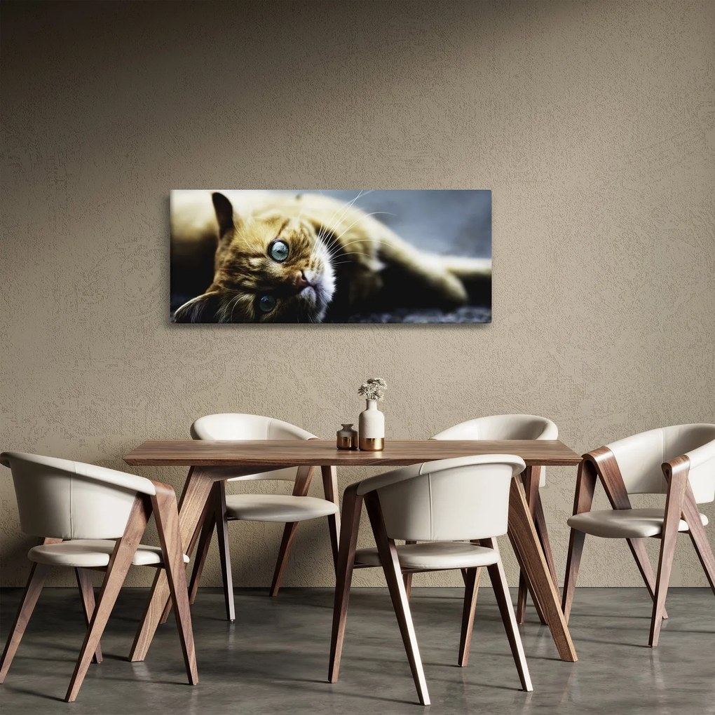 Macska képe (120x50 cm)