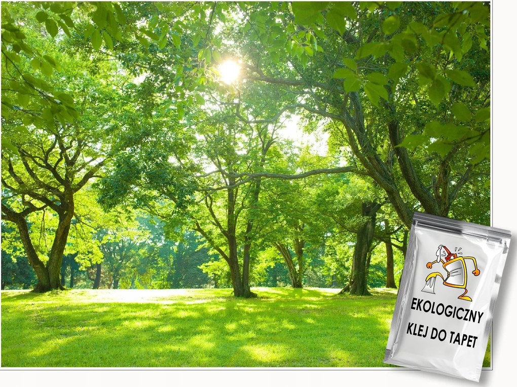 Fotótapéta Erdő Nap Fák Természet Rét Nappali Hálószoba Tapéta 150x105