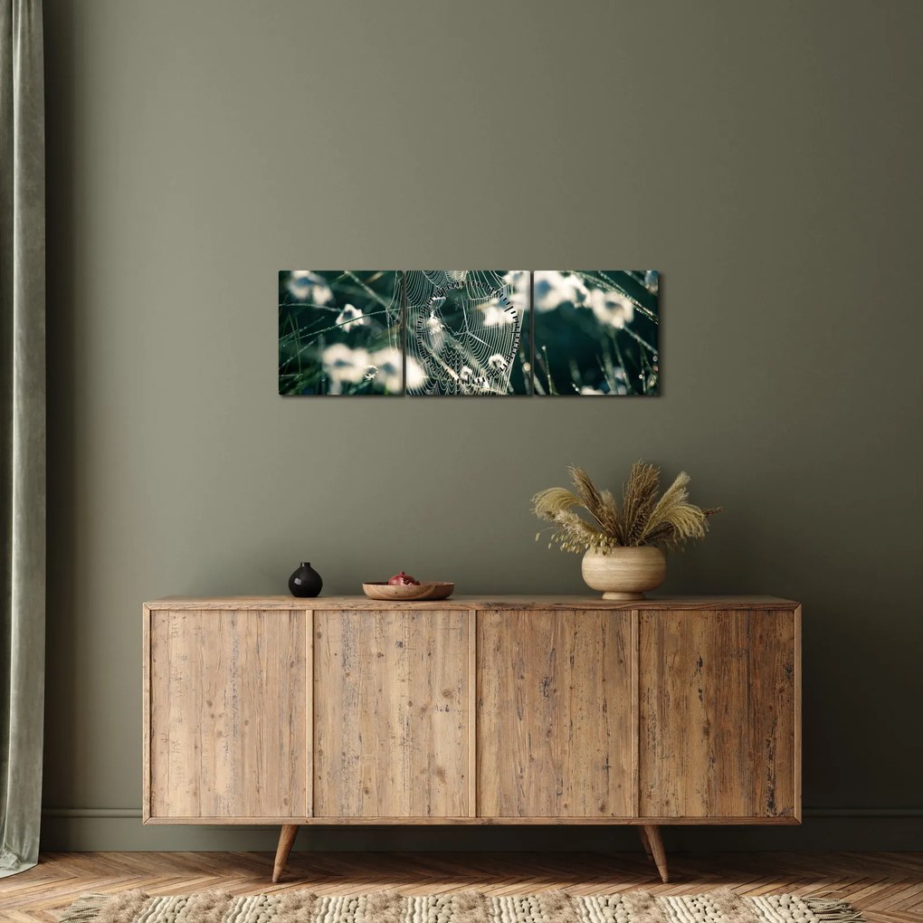 Kép - Pókháló (órával) (90x30 cm)