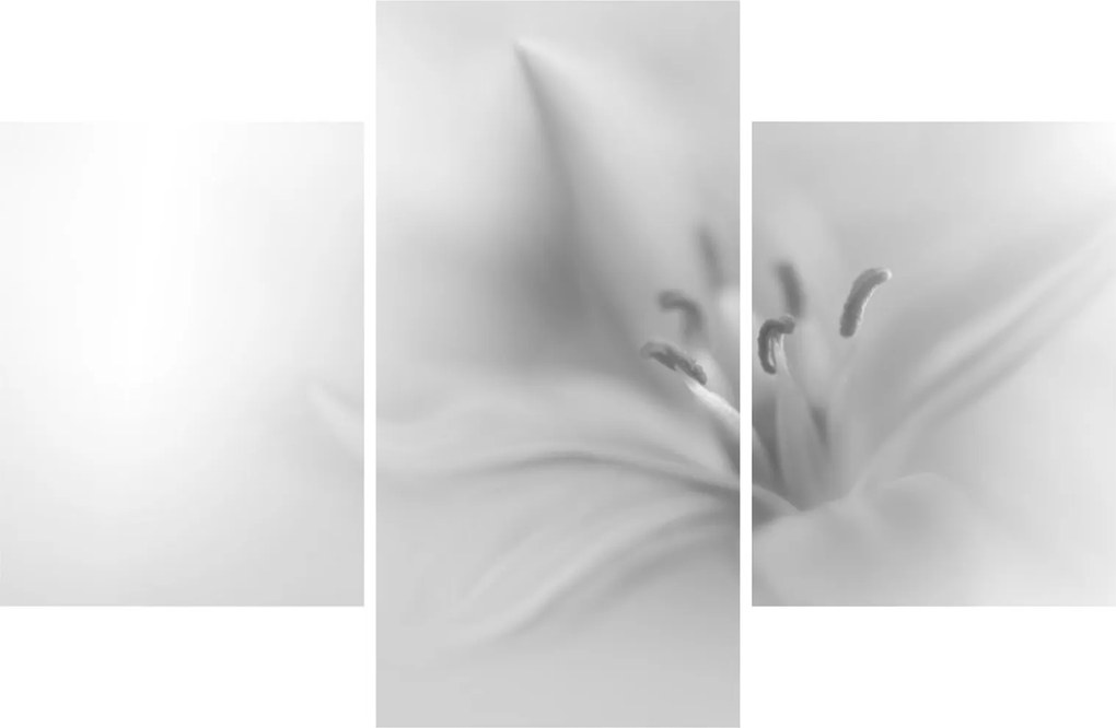 Kép - Delicate Lily (90x60 cm)