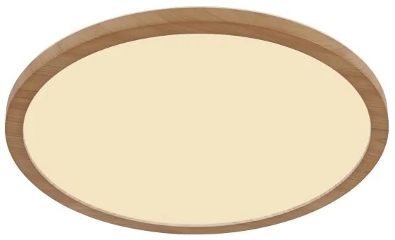 Globo 41562-24WW - LED Dimmelhető fürdőszobai lámpa SAPANA LED/24W/230V IP44