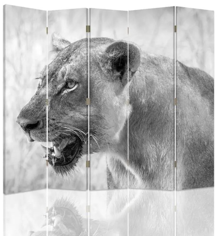 Gario Paraván Lioness Méret: 180 x 170 cm, Kivitelezés: Klasszikus paraván