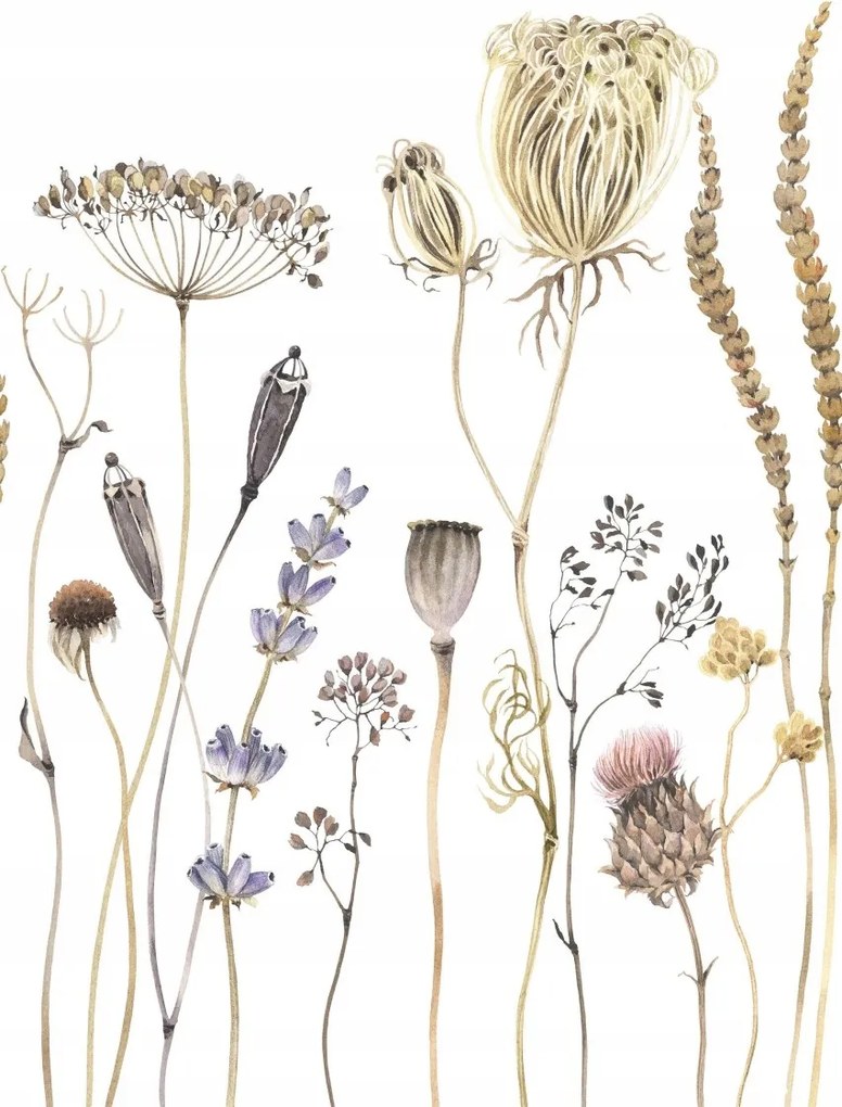 Falfestmény falpanel Mezei virágok, rusztikus rét virágzásban 367423 Rasch