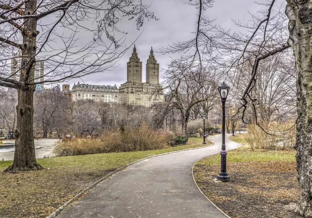 Poszter 66,5x46,5cm Ösvény a központi parkon át 3, Assaf Frank