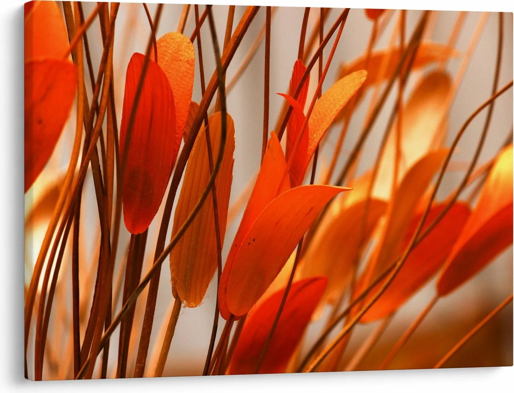A szirmok képe (70x50 cm)