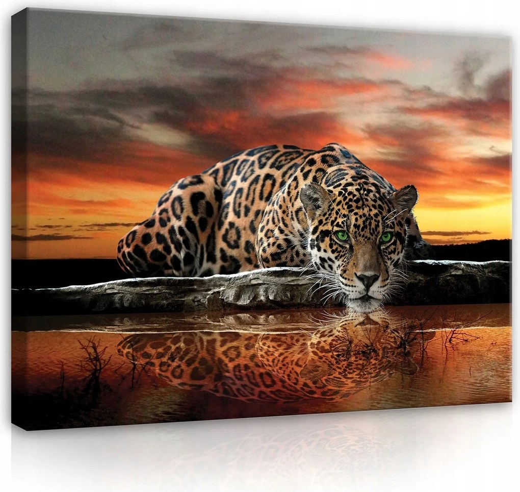 Vászonkép Tigris Állatok Nagy Szafari Hálószoba Nappali Vászon Fal 100x70