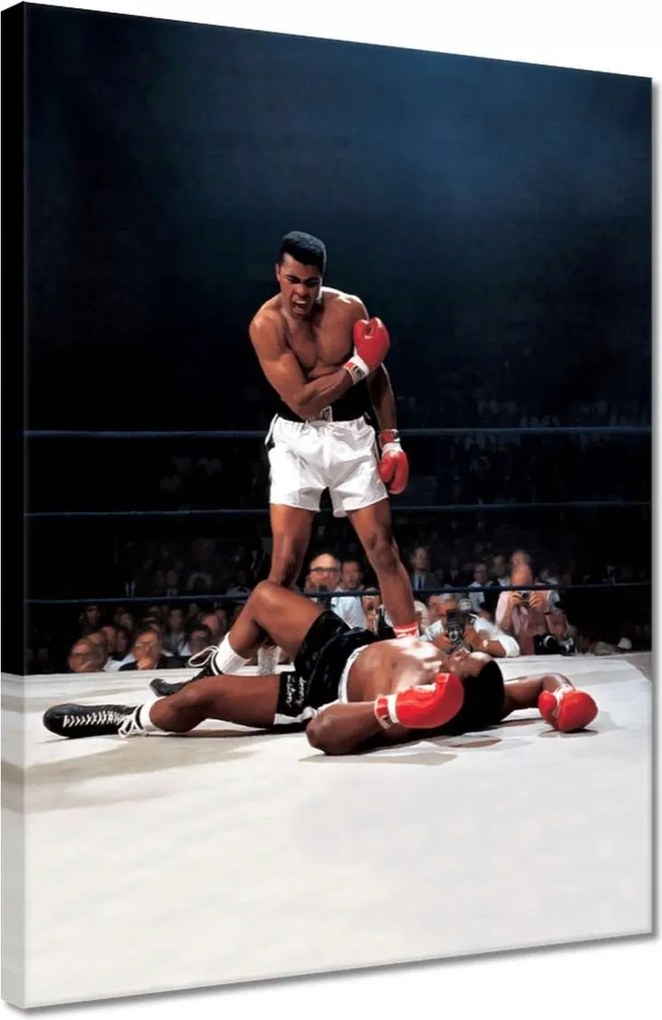 Vászonkép 30x40 Muhammad Ali Boxer Harc