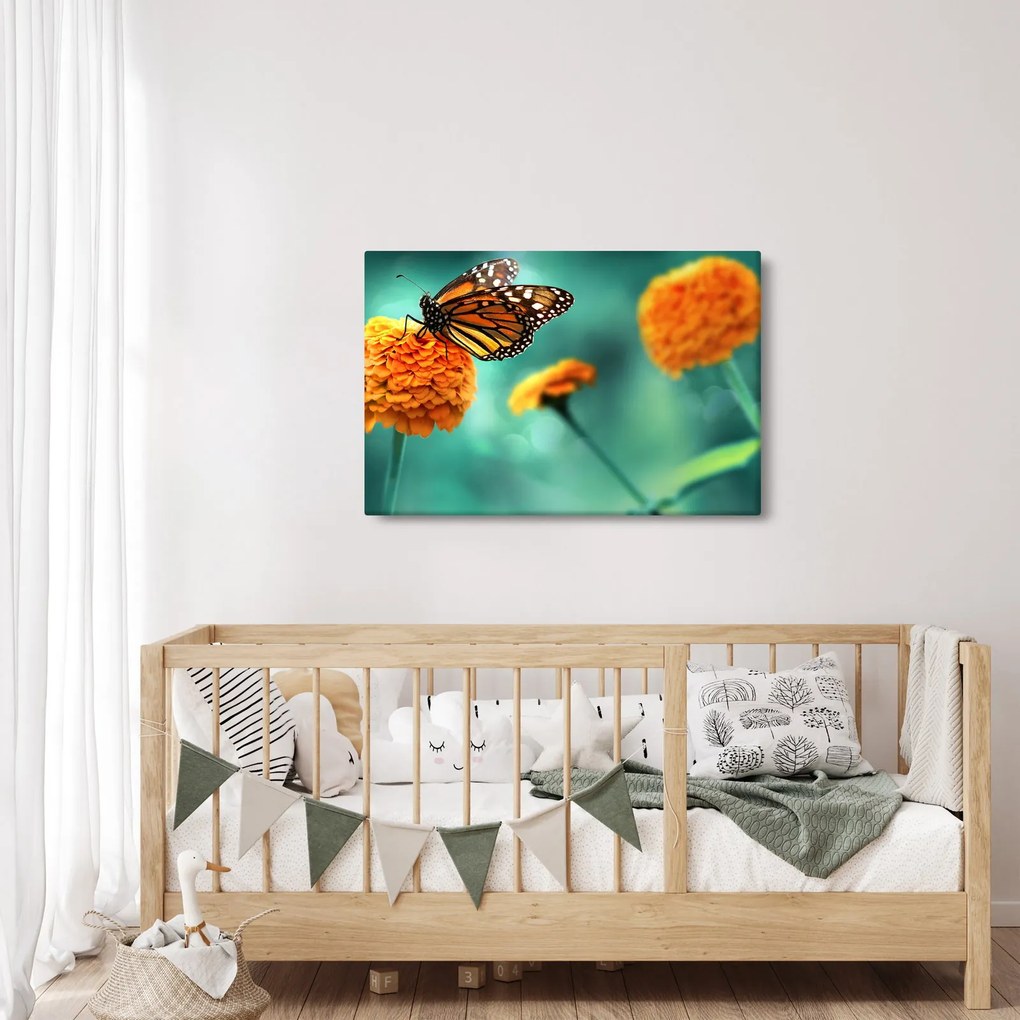 Egy pillangó képe (90x60 cm)