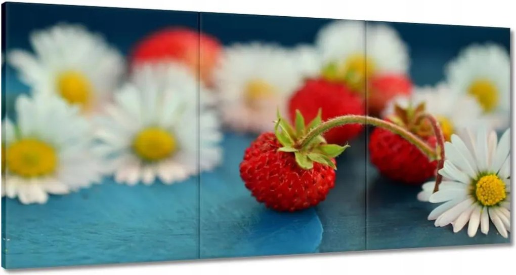 Vászonkép 60x30 Vízszintesek és margaréták