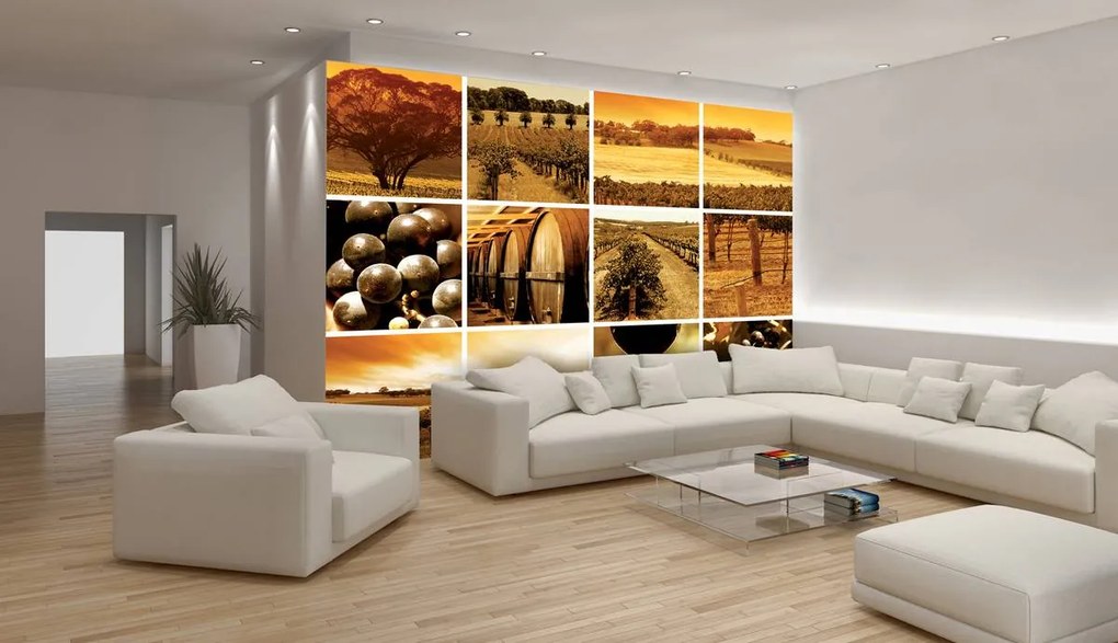 Fotótapéta - Szőlőmező - mozaik (152,5x104 cm)