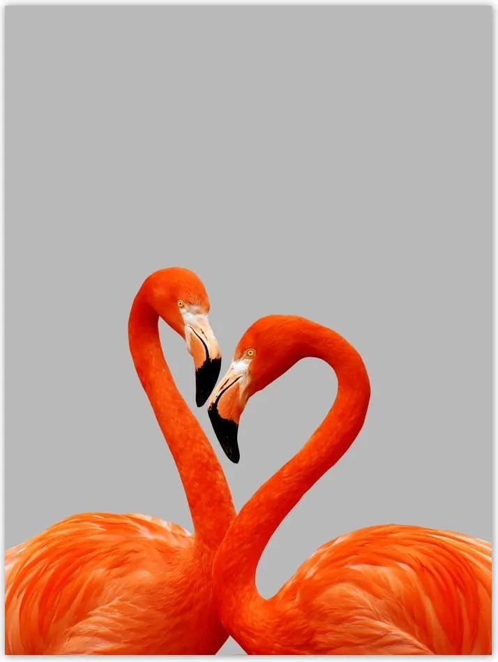 Poszterek 30x40 Flamingók