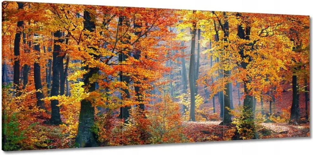 Vászonkép 150x70 Arany ősz