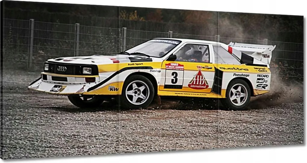 Vászonkép 60x30 Audi Quattro Drift oldalfal