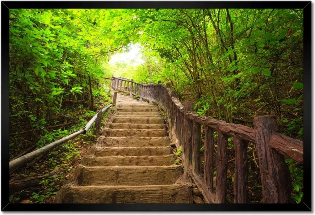 Poszterek keretben 60x40 Lépcsők az erdőbe