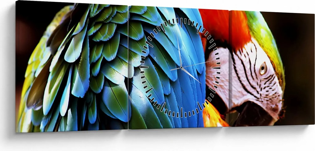 Kép - Papagáj (órával) (90x30 cm)