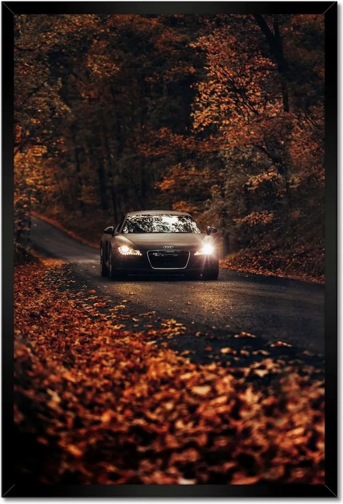 Poszterek keretben 40x60 Audi Őszi tájkép
