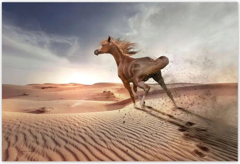 Fotótapéták 200x135 Galoppozó ló