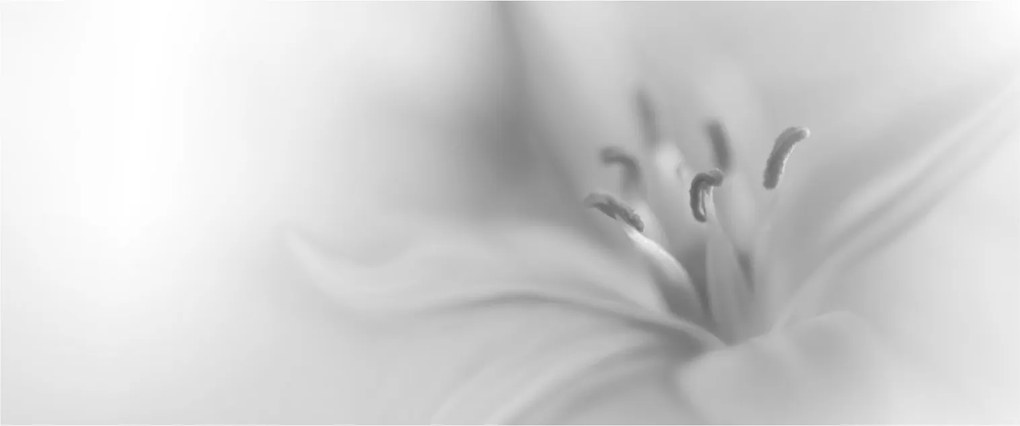 Kép - Delicate Lily (120x50 cm)