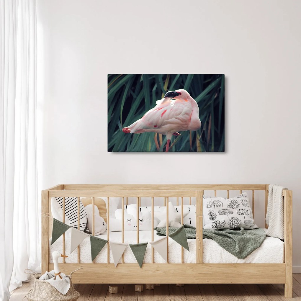 Kép - Flamingó (90x60 cm)