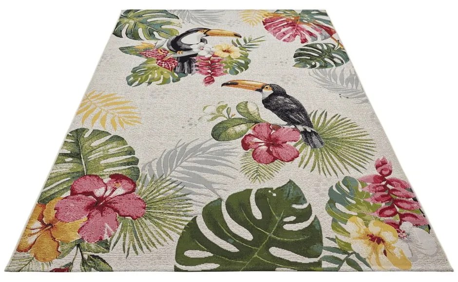 Kültéri szőnyeg 240x340 cm Flair – Hanse Home