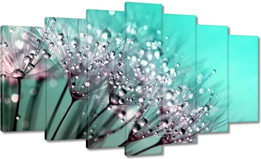 Vászonkép 140x80 Harmatcseppek Pitypang