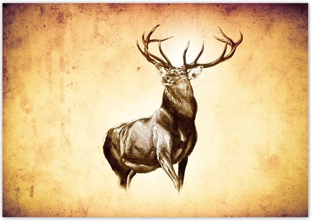 Poszterek 100x70 Szarvas szarvakkal