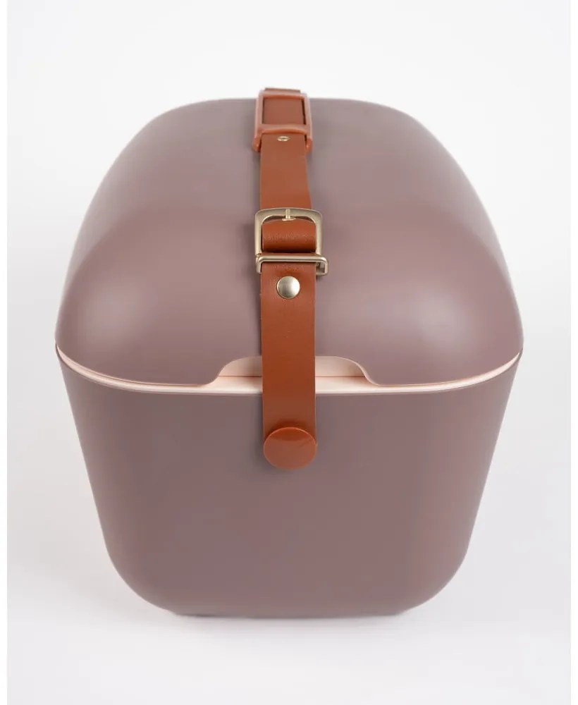 Barna hűtődoboz 12 l Classic Gold – Polarbox
