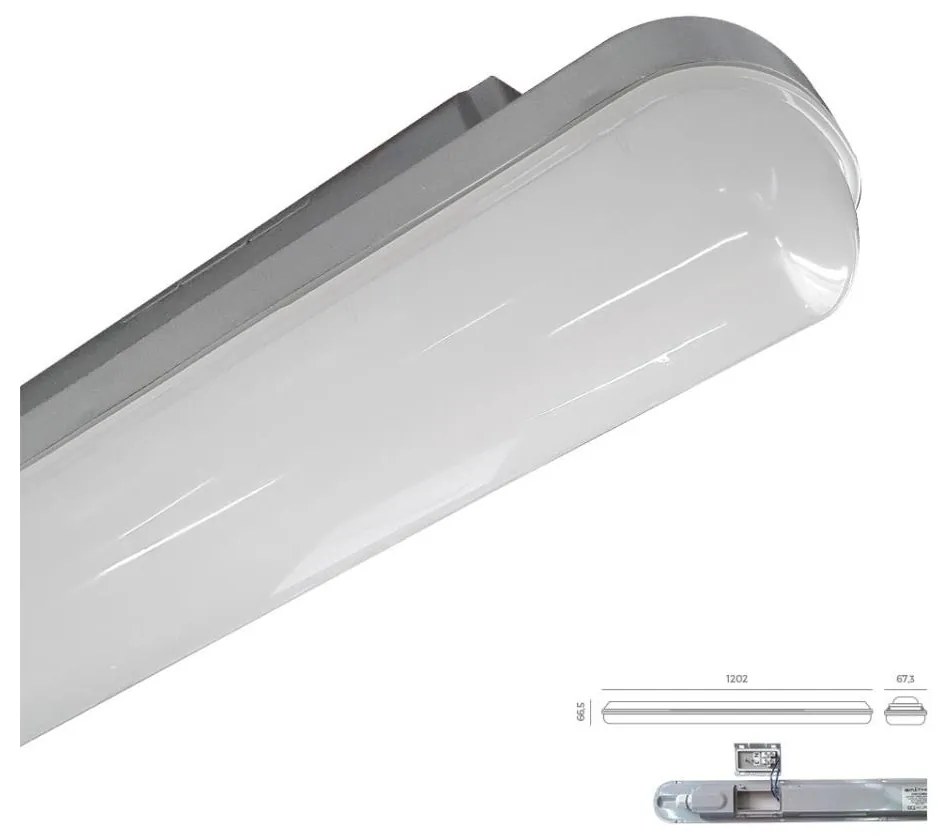 Emithor 31602 - LED Technikai lámpa ELMINA LED/36W/230V IP65