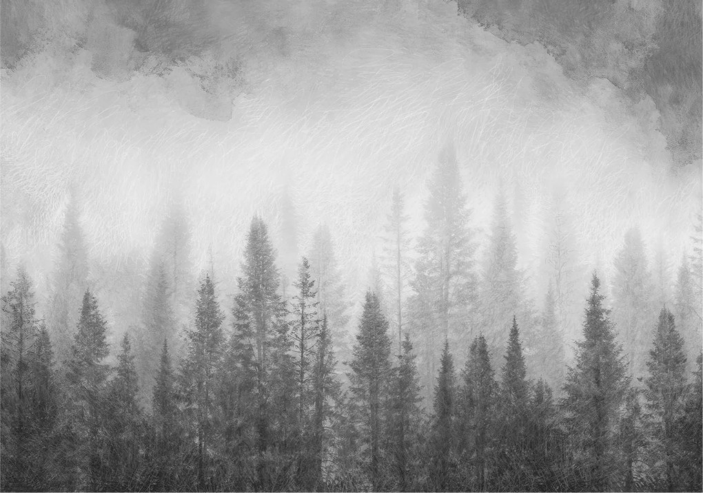 Flizelin fotótapéta Flizelin Designer Erdei köd 312x219 Ragasztó